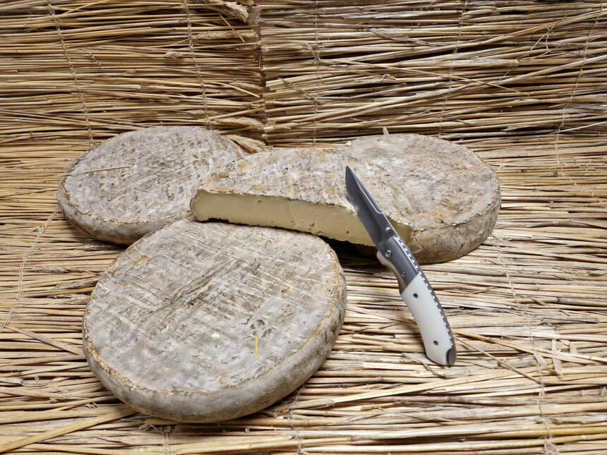 Le Saint-Nectaire - Gaec des Marmottes